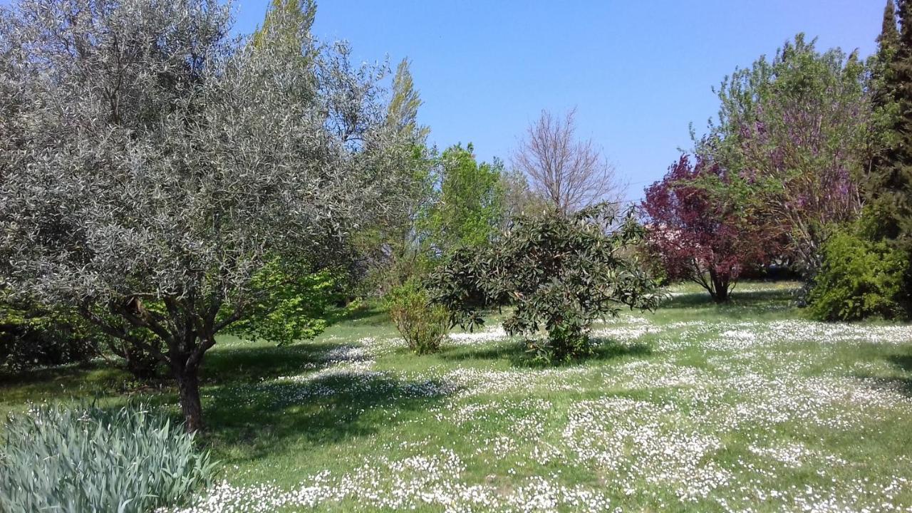Bed and Breakfast La Madeleine Pezens Esterno foto